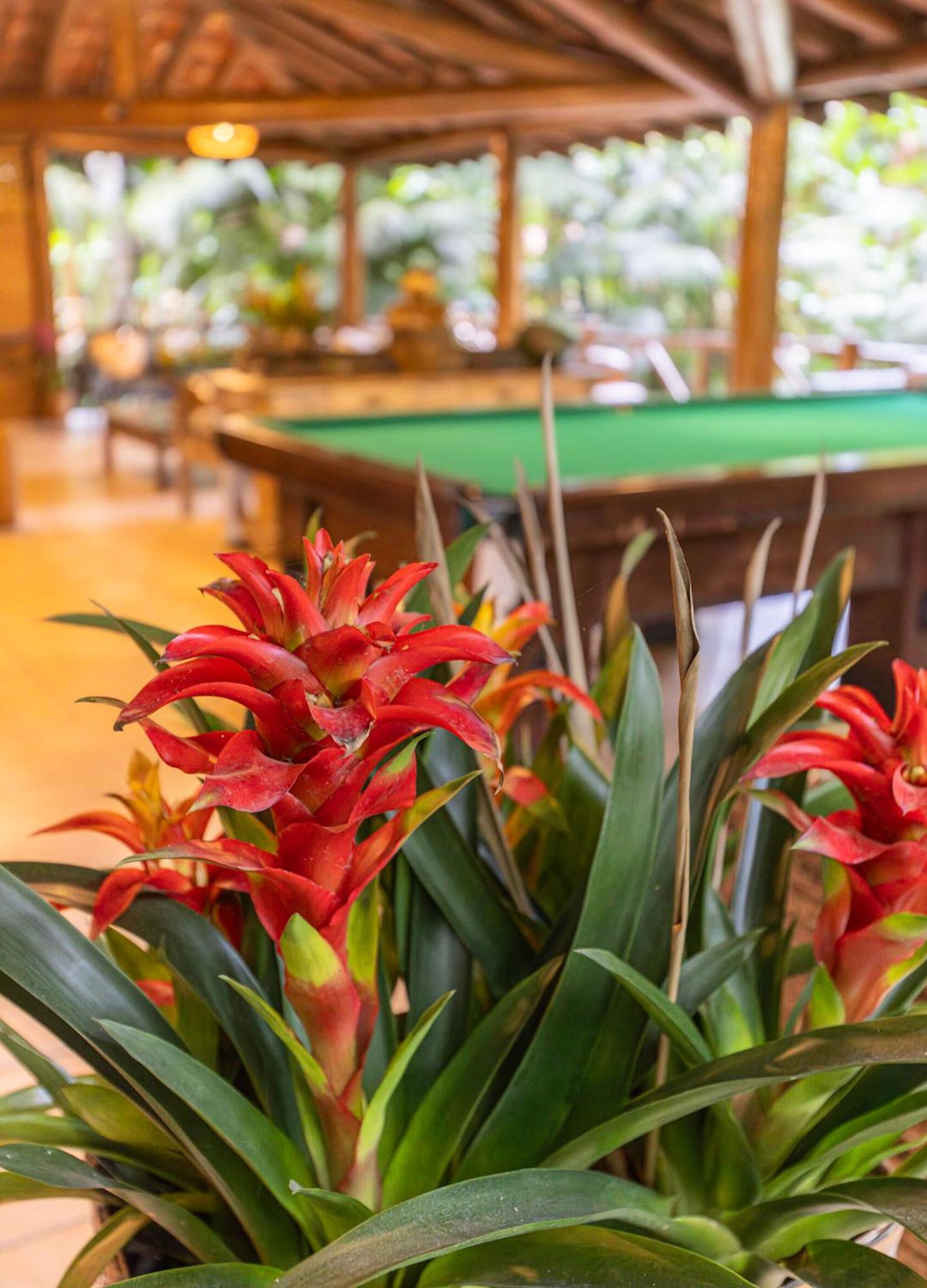 Itamambuca Eco Resort Ubatuba Ngoại thất bức ảnh