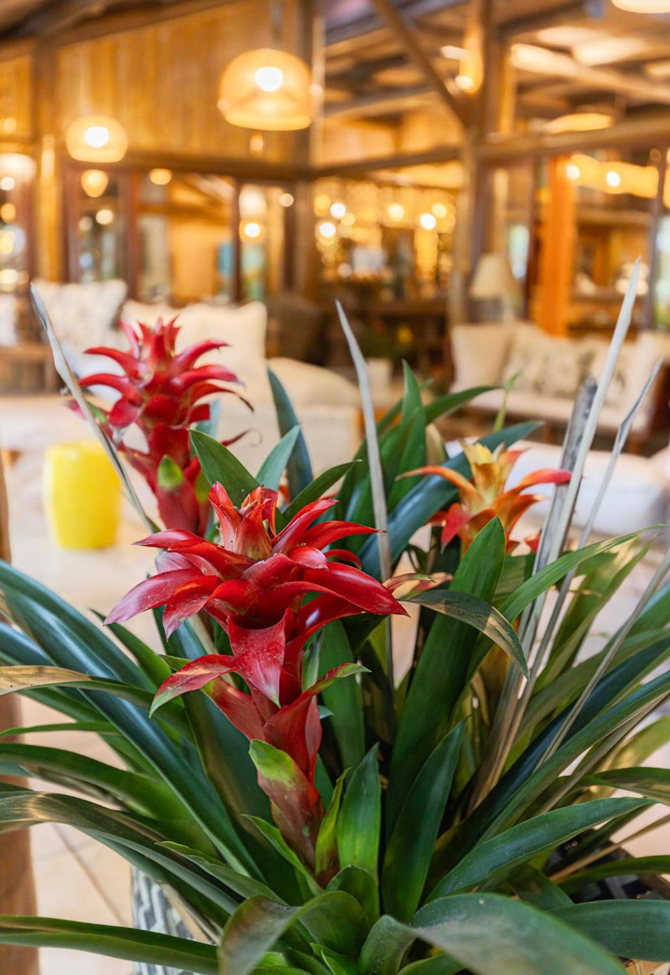 Itamambuca Eco Resort Ubatuba Ngoại thất bức ảnh