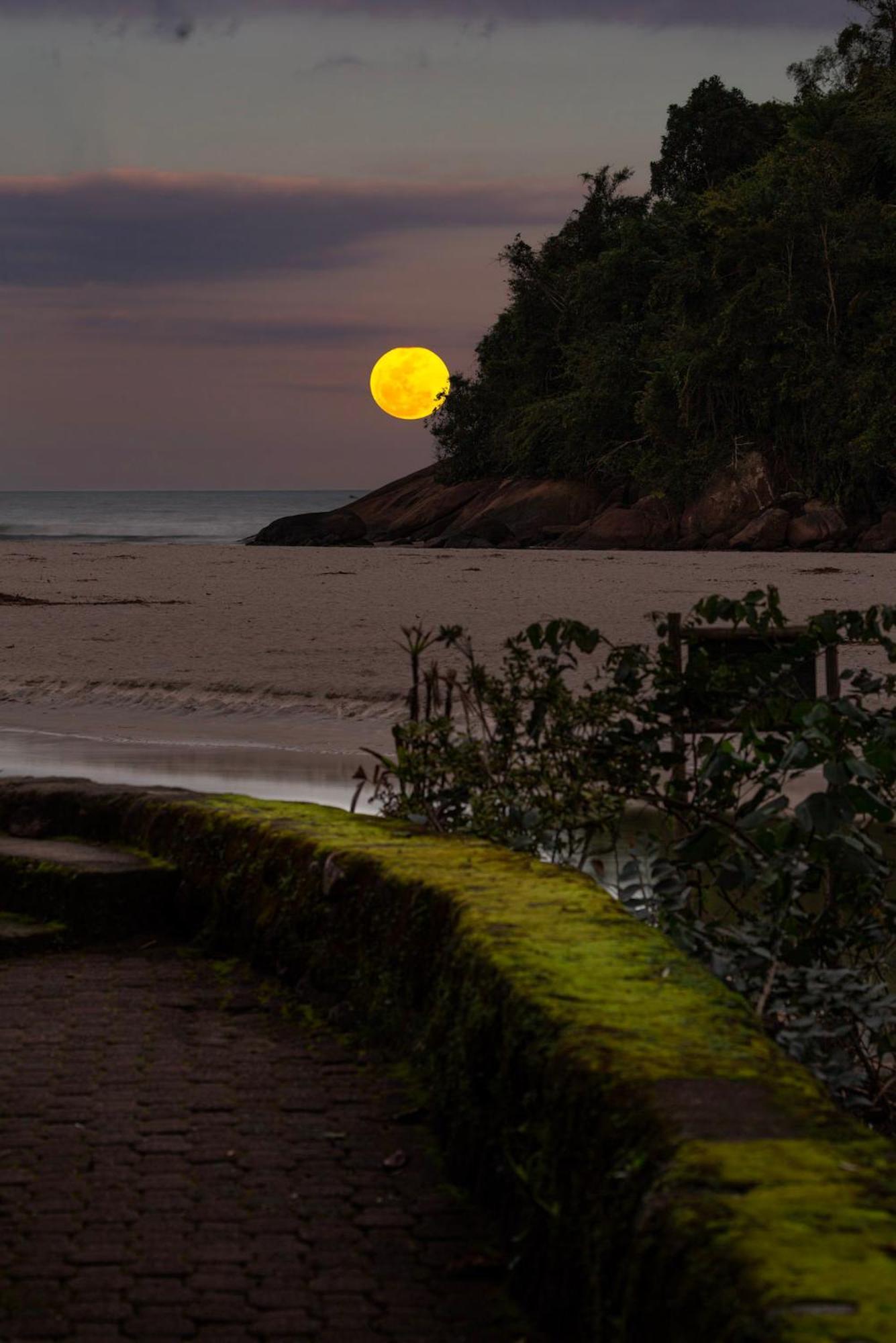 Itamambuca Eco Resort Ubatuba Ngoại thất bức ảnh