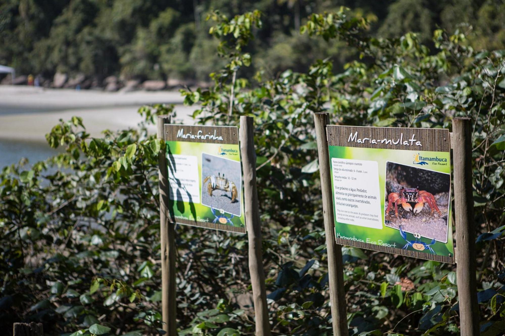 Itamambuca Eco Resort Ubatuba Ngoại thất bức ảnh