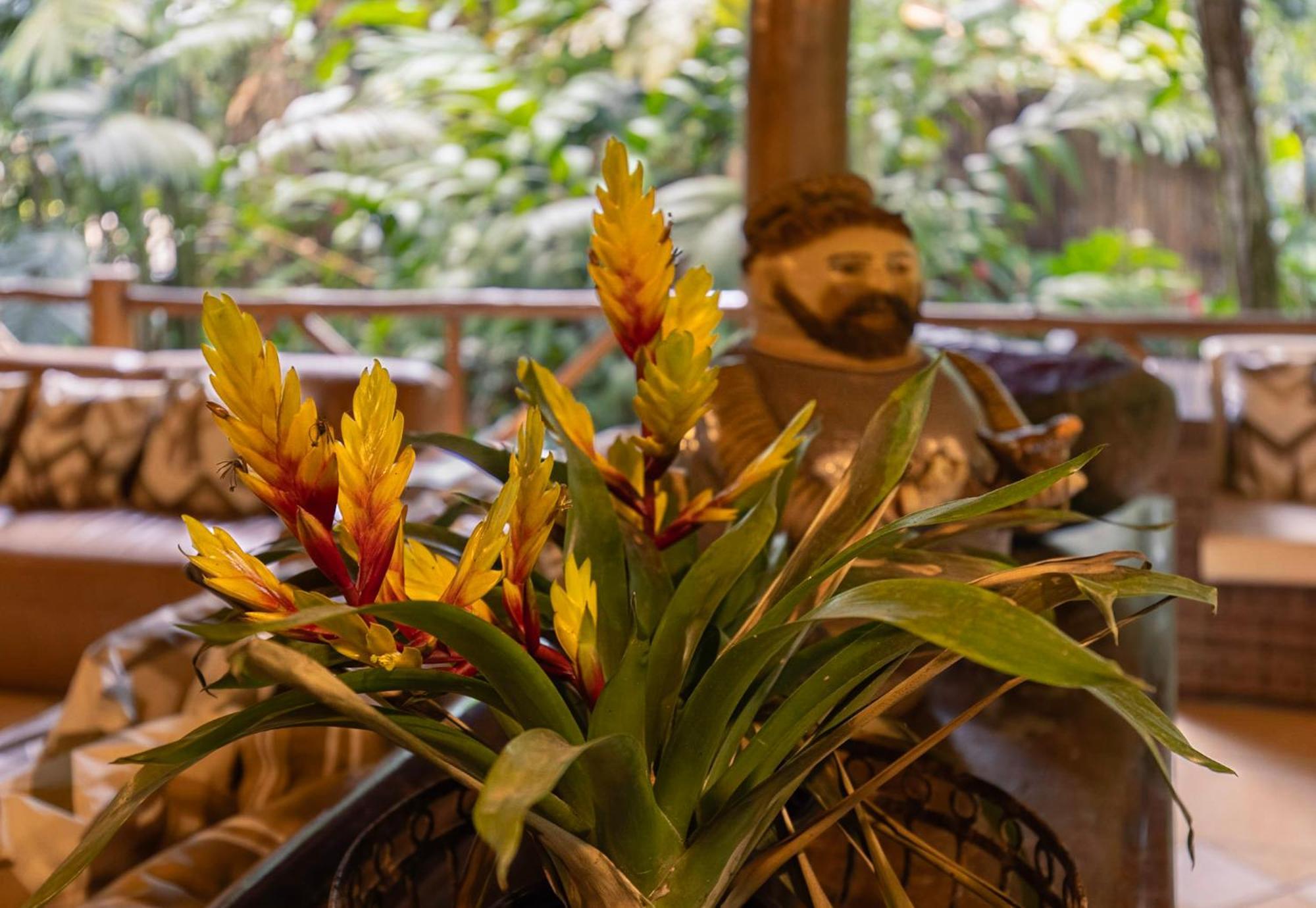 Itamambuca Eco Resort Ubatuba Ngoại thất bức ảnh